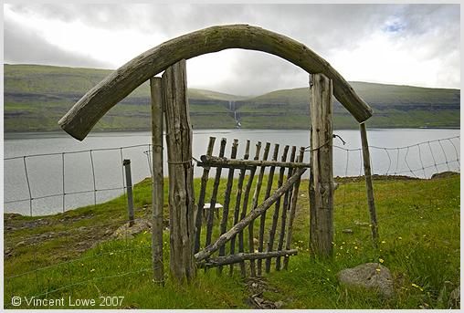 faroe-38.jpg