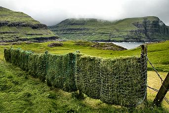 Click to get this image from alamy