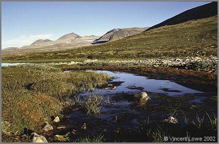 rondane04.jpg