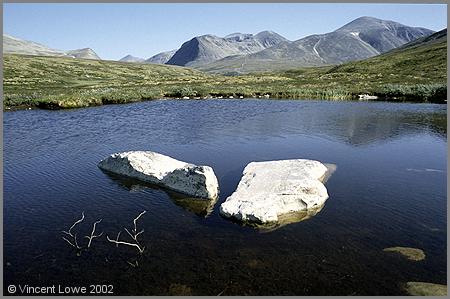 rondane09.jpg