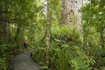 Click to get this image from alamy