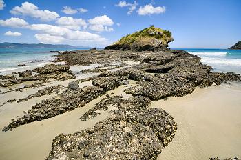 Click to get this image from alamy