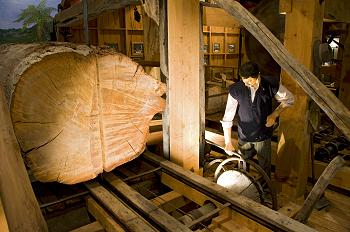 Click to get this image from alamy