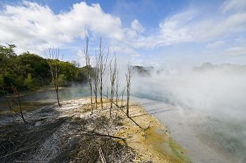 Click to get this image from alamy