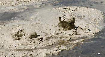 Click to get this image from alamy