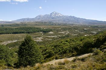 Click to get this image from alamy