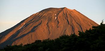 Click to get this image from alamy