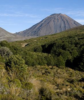 Click to get this image from alamy