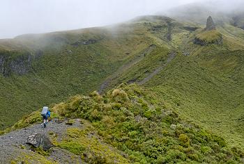 Click to get this image from alamy