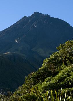 Click to get this image from alamy