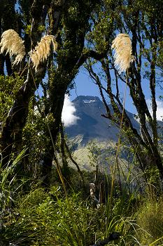 Click to get this image from alamy