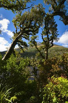 Click to get this image from alamy