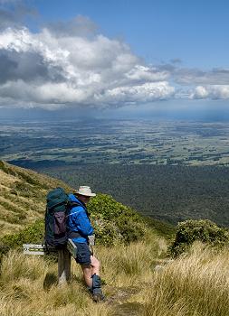 Click to get this image from alamy