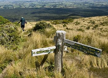 Click to get this image from alamy