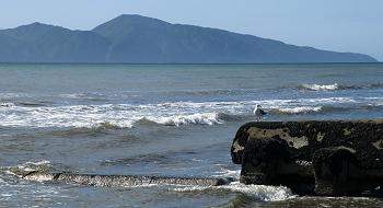 Click to get this image from alamy