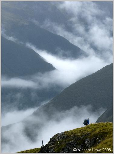 nzs-04.jpg