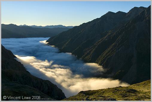 nzs-08.jpg