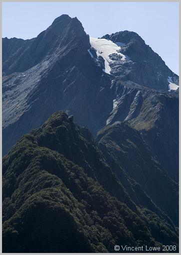 nzs-54.jpg