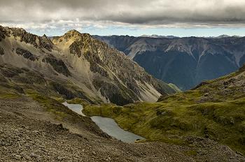 Mount Cedric Track