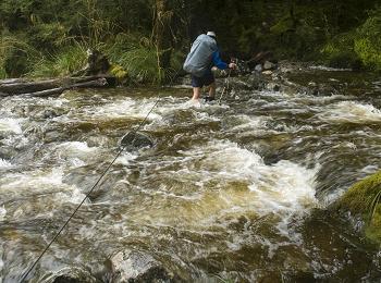 Click to get this image from alamy