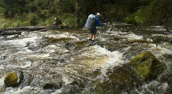 Click to get this image from alamy