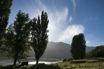 Click to get this image from alamy