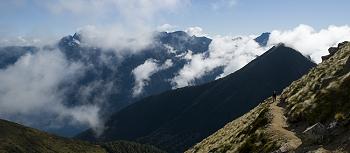 Click to get this image from alamy