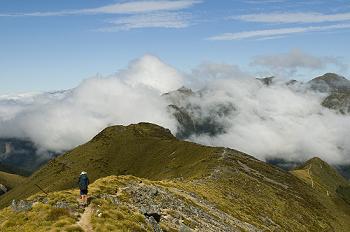 Click to get this image from alamy