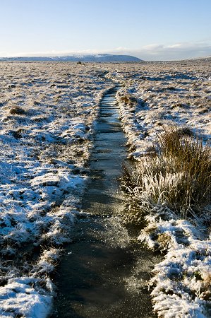 Click to get this image from alamy