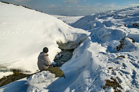 Click to get this image from alamy