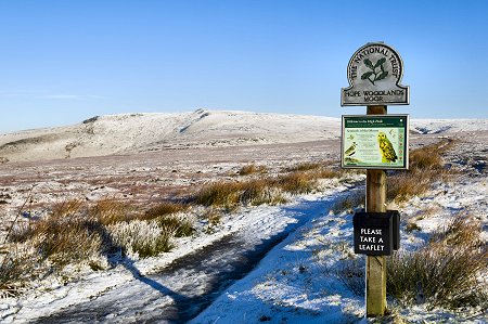 Click to get this image from alamy