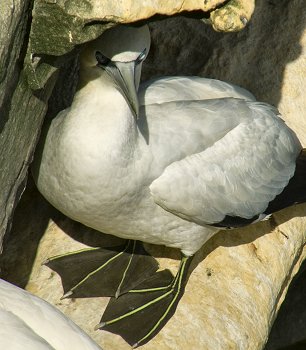 Click to get this image from alamy