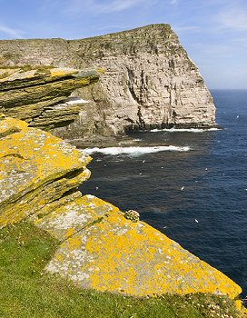 Click to get this image from alamy