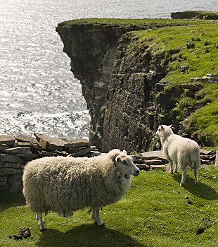 Click to get this image from alamy