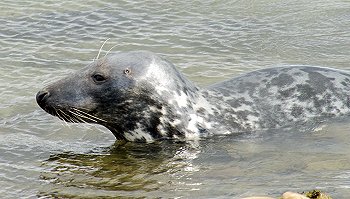 Not available at alamy