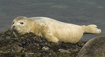 Not available at alamy