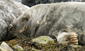 Not available at alamy