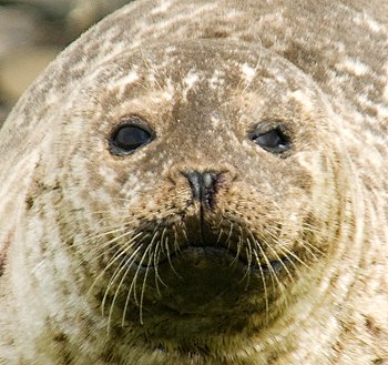 Not available at alamy