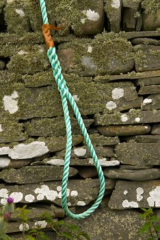 Click to get this image from alamy