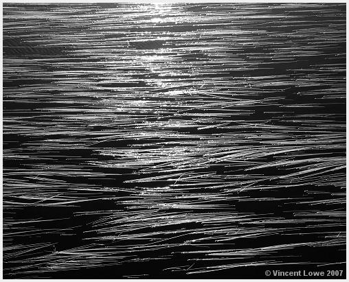 reeds03.jpg