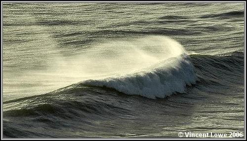 wave01.jpg