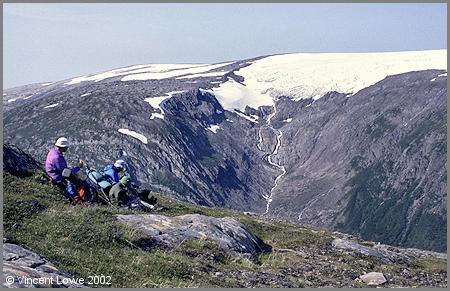 svart06.jpg