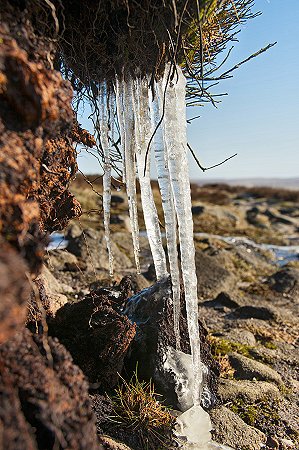 Click to get this image from alamy