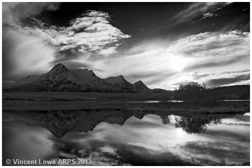 Ben Loyal