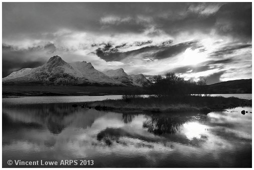Ben Loyal