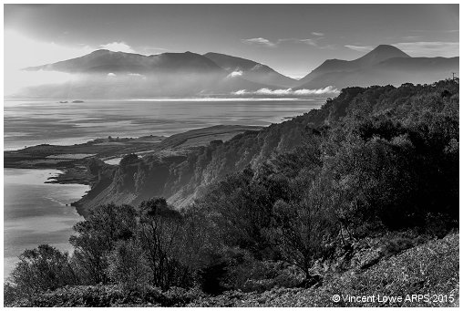 Ben Loyal
