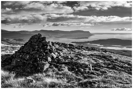 Ben Loyal