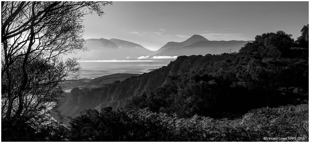 Ben Loyal