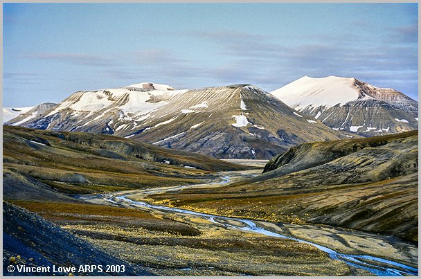 spitz63.jpg